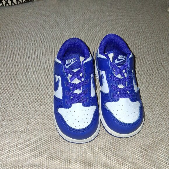 Nike Dunks Low Sneakers in Blue and White - Picture 1 of 6